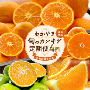 【訳あり・ご家庭用】わかやま旬のカンキツ定期便[S] 全４回 3・5・9・11月発送【AA90246-ard-tkb905】