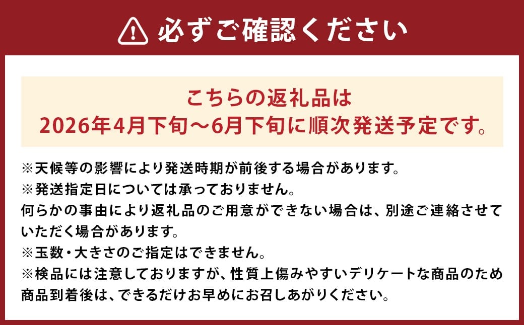 熊本県 益城町 スイカ だんらん 2玉  (2玉×2L) 計約14kg 【2026年4月下旬～6月下旬迄発送予定】