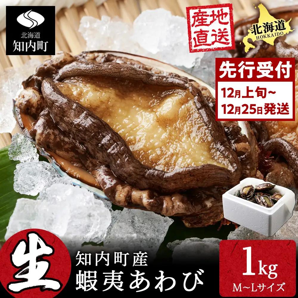 〈2026年12月発送予約〉北海道 知内産 天然かつあわび約1kg（M～L詰め合わせ）≪上磯漁業協同組合≫