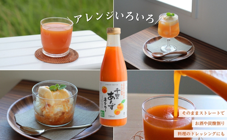 【6か月定期便】信州 千曲のあんずネクター ジュース  720ml 6本セット｜ ジュース 長野県産 千曲市