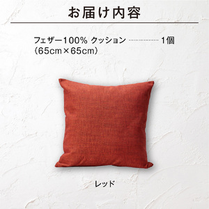 blocco フェザー100％ クッション（65cm×65cm） 460119 レッド