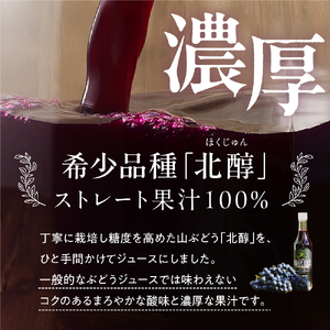 美味しい上山・山ぶどうジュース（原液）６００ｍｌ×２本　0140-2406