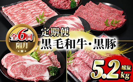 
＜定期便・全6回(偶数月)＞鹿児島県産黒毛和牛・黒豚定期便(総量約5.2kg)国産 九州産 鹿児島産 牛肉 国産牛 豚肉 サーロイン ステーキ 切り落とし 切落し カルビ 焼肉 焼き肉 焼肉セット 黒豚 バラ肉 すき焼き しゃぶしゃぶ 頒布会【スターゼン】30-3
