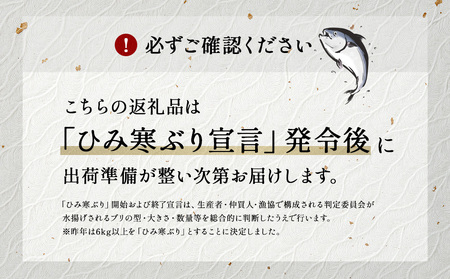 【先行予約】【期間限定】ひみ寒ぶり 刺身用（柵） 500g 富山県 氷見市 刺身 柵 ブリ 鰤 寒ぶり