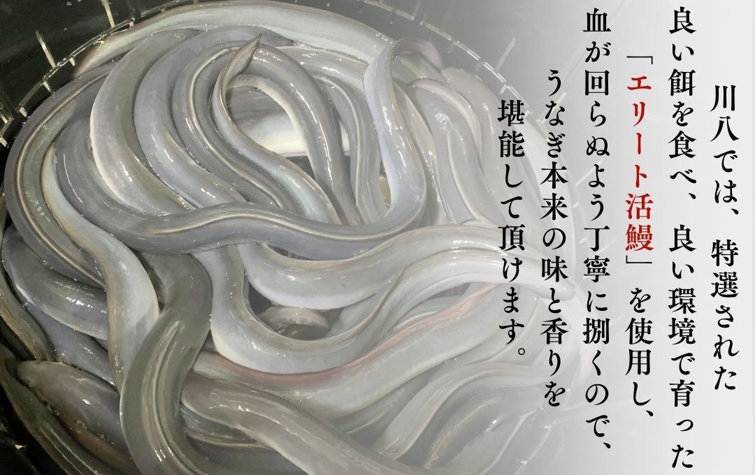 かくれうなぎ誕生の店　川八　おうちでかくれうなぎ２人前　<AT-5>