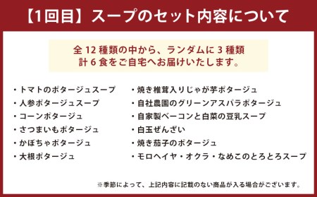 【定期便3回】シェフ特製 スープ 6食 ピザ 4種 パスタ 6食 冷凍