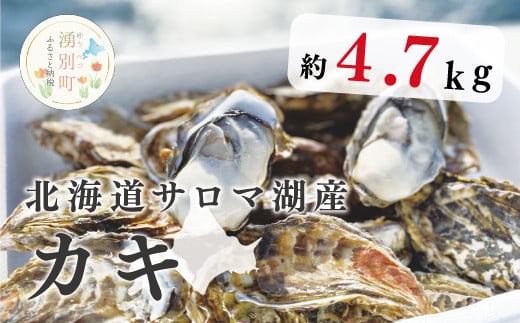 
【国内消費拡大求む】[№5930-0248]北海道サロマ湖産　カキ約4.7kg
