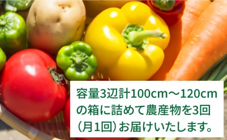 【全3回定期便】福岡県糸島産 旬の野菜盛り合わせセット[AWC007] 【福岡県糸島市】糸島産 旬の野菜盛り合わせセット