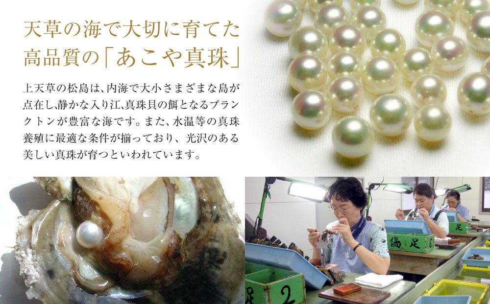 上天草産 あこや 真珠 ネックレス