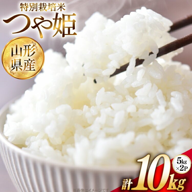 【ふるさと納税】 米 令和7年 特別栽培米 つや姫 5kg 2P 計 10kg [JA山形おきたま 山形県 高畠町 tk06ays870002] 5キロ 10キロ お米 ブランド米 ごはん ご飯 白米 精米 おこめ こめ つやひめ