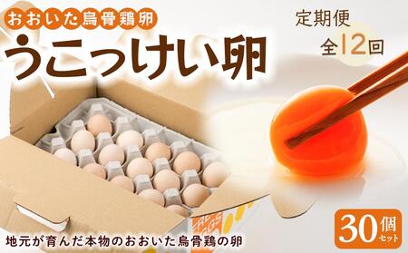 【定期便 全12回】大分うこっけい卵（生食用30個×12回） | 卵