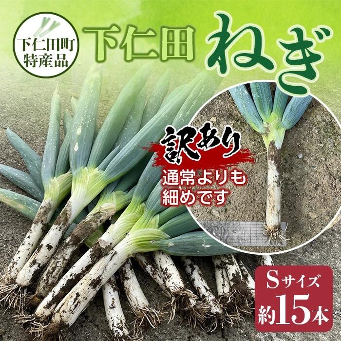 【ふるさと納税】訳あり（家庭用）下仁田町特産「下仁田ねぎ」Sサイズ 15本 とろける 甘い ねぎ ネギ 葱 王様ねぎ 殿様ねぎ 特産 栄養たっぷり ブランド 上州ねぎ すきやき F21K-582