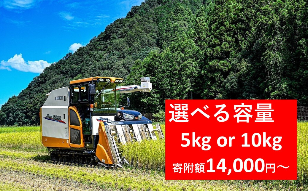 
            【先行予約】令和7年産 稲場農産 慎ちゃんのお米 コシヒカリ 選べる容量【 5kg or 10kg 】 令和7年産 先行予約 新米予約 コシヒカリ お米 5kg 10kg 安心 安全 良質 美味しい お試し 兵庫県 朝来市
          