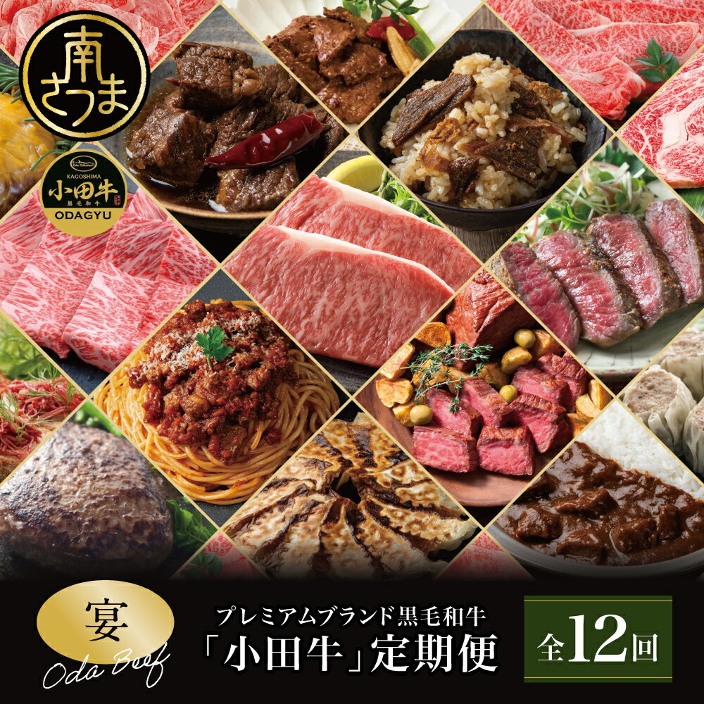 【ふるさと納税】【全12回】プレミアムブランド「小田牛」定期便［～宴～］ 鹿児島県産 黒毛和牛 ステーキ すき焼き 焼肉 焼き肉 BBQ ハンバーグ ローストビーフ 餃子 ぎょうざ 焼売 しゅうまい レトルト カレー パスタソース 常温 冷凍 小田畜産 南さつま市 送料無料
