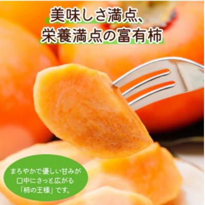 ふるさと納税 本巣市 《 訳あり 》 福井農園の富有柿  お試し 8〜11個入り S-Mサイズ |  | 01