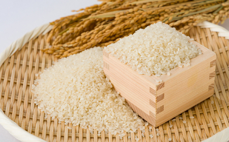 【食味鑑定士厳選】鳥取県産 コシヒカリ15kg(5kg×3袋) 精米【1644335】