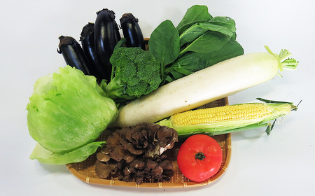 平留商店こだわりの 野菜セット（小）野菜６～７品 岩手県産 旬の野菜 季節の野菜 葉物  根菜 きのこ 春野菜 夏野菜 秋野菜 冬野菜 新鮮 物価高騰 家庭 応援 北上市 平留商店 フレッシュフィール
