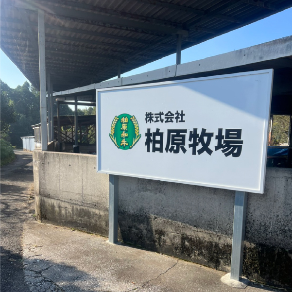 【自社農場宮崎牛】柏原和牛モモ しゃぶしゃぶ・すき焼き用 1キロ（国産 牛肉 黒毛和牛 すき焼き しゃぶしゃぶ）_イメージ4