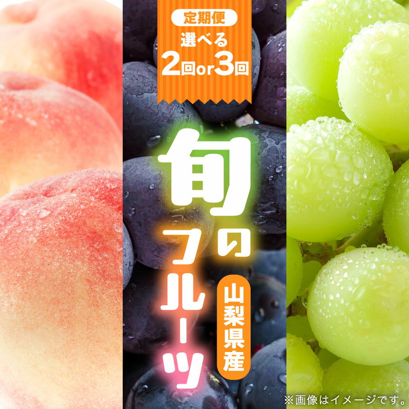 【ふるさと納税】 旬の果物 桃3～8玉・黒ぶどう1房・シャインマスカット1房～2房 全2回or全3回_ 桃 シャインマスカット ぶどう 定期便 もも モモ 葡萄 ブドウ 果物 フルーツ くだもの 産直 山梨県 山梨市 送料無料 【配送不可地域：離島】【G4066669】