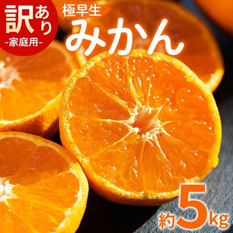 【ふるさと納税】家庭用 訳あり 極早生みかん 約5kg - 送料無料 訳アリ フルーツ 果物 くだもの 果実 甘い あまい 酸味 蜜柑 ミカン 柑橘 ご自宅用 旬 季節 かなや農園 合同会社Benifare 国産 特産品 高知県 香南市【常温】