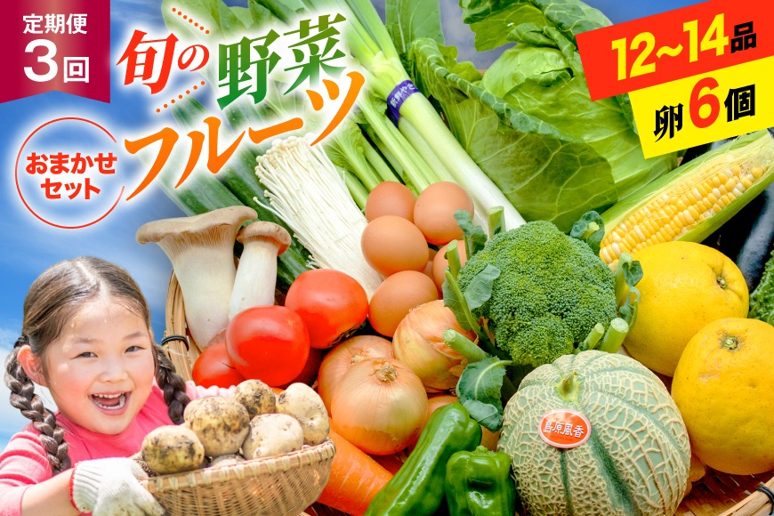 【定期便】【年3回】島原の旬の野菜・果物！おまかせ野菜・果物・卵セット
