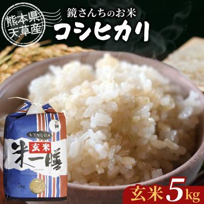ふるさと納税 天草市 【令和7年産】コシヒカリ 玄米 5kg_S050-008A