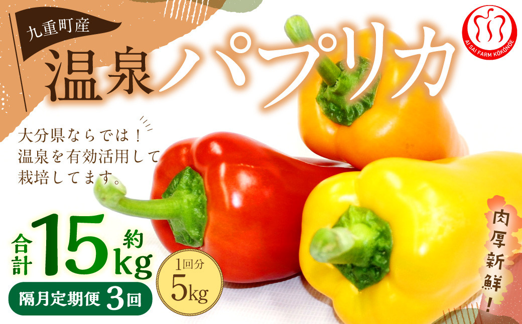 
                  【隔月3回定期便】 大分県 九重町産 温泉パプリカ 計約15kg（約5kg×3回） パプリカ 野菜 やさい
                