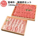 【ふるさと納税】宮崎牛・豚焼肉セット＜約500g×2＞ 霜降り 豊潤 お肉 牛肉 和牛 食品 宮崎ブランドポーク 畜産物 冷凍 お弁当 宮崎県 宮崎市 送料無料