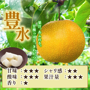 【2026年先行予約】【 秀品 】 和梨 豊水 約 5kg（7〜14玉）《9月上旬から順次発送》 ほうすい 梨