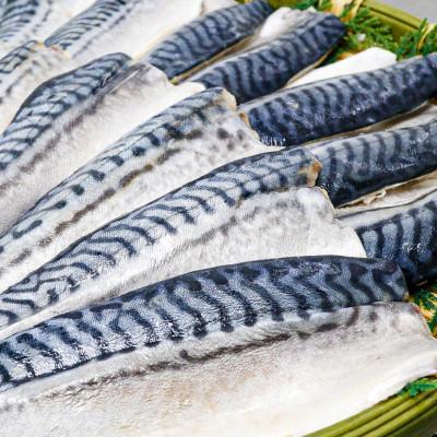 ふるさと納税 茨木市 【骨取り】無添加トロさばフィーレ 無塩 15切(約1.6kg)