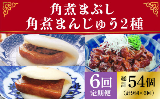 【全6回定期便】 長崎 角煮まんじゅう 3個・ 大とろ角煮まんじゅう 3個・ 角煮まぶし 3袋＜岩崎本舗＞ [DBG041] 角煮まん 角煮 豚角煮 簡単 惣菜 冷凍 おやつ 中華  96000 96000円 