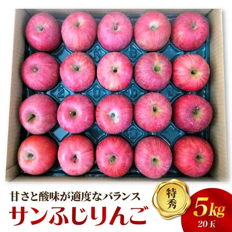 りんご（サンふじ）５ｋｇ　２０玉　特秀品　0056-2631