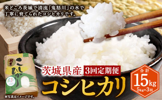 【3ヶ月定期便】令和8年産コシヒカリ 5kg×3回 合計15kg | 米 お米 こめ おこめ 茨城県産 精米 白米 定期便 定期配送 茨城県 守谷市 送料無料