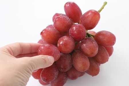 【産地厳選!】長野県産・クイーンルージュ（約2kg）秀品＜10月中旬より発送＞