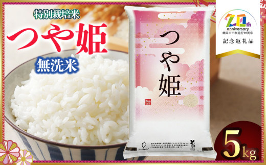 【令和6年産】 特別栽培米つや姫 無洗米5kg（5Kg×1袋）  山形県鶴岡市産 米食味鑑定士お薦め　【市制施行20周年記念返礼品】