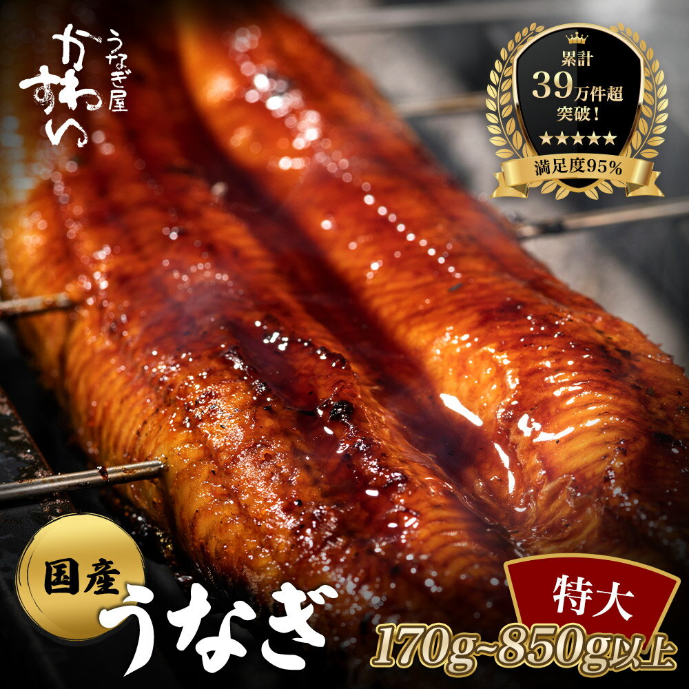 〈うなぎ屋かわすい〉特大サイズ国産うなぎ蒲焼き2本セット