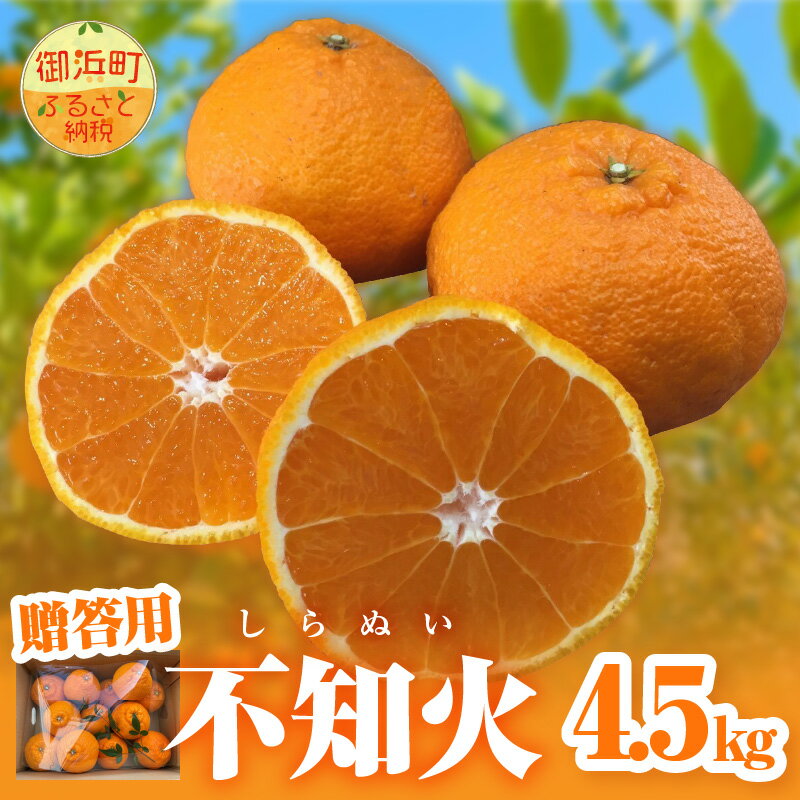 【ふるさと納税】ミカファーム 不知火 4.5kg 贈答用 春頃発送 三重県 御浜町産【プチプチと弾ける食感】