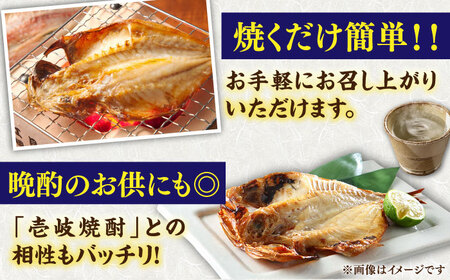 【全12回定期便】旬の干物 おまかせ詰め合わせ《松》（カマス・アカハタ・鯛など）[JDR017]