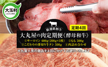 牛肉 【4回定期便】肉の定期便 牛肉 牛肉 牛肉