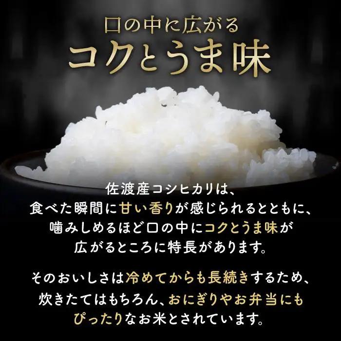 令和7年産 新潟県 佐渡島産 米杜氏コシヒカリ 5kg  受注精米