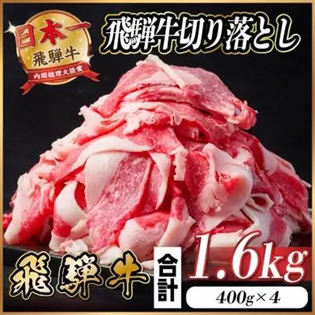 【訳あり】飛騨牛 切り落とし 約1.6kg_牛肉切り落とし_【配送不可地域：離島】【1544085】