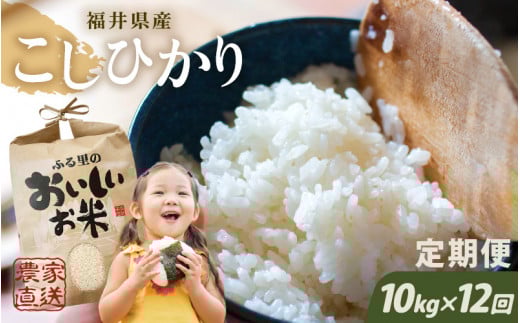 【令和7年産】【農家直送定期便 12ヶ月コース】【玄米】 本原農園のまごころコメた 福井県産 コシヒカリ 10kg × 12回 計120kg [P-8905]