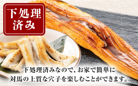 対馬産　あなご　天ぷら・煮付用　5パック　《対馬市》【対馬新鮮組】　冷凍配送　小分け　アナゴ　新鮮　海鮮　冷凍 簡単調理[WCS011]