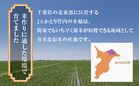 JAかとり直送 ふさおとめ 精米10kg（5kg×2） 千葉県神崎町産 令和7年産 [001-a006]