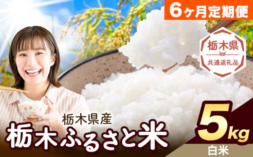 【6ヶ月定期便】米 栃木 ふるさと米 白米 5kg《お申込み翌月から出荷》栃木県 野木町 米 白米 精米 国産 お米 おこめ お弁当 おにぎり【栃木県共通返礼品】