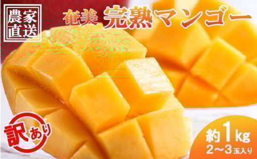 
            【2026年 先行予約】奄美完熟マンゴー 訳あり 家庭用 約1kg(2～3玉入り) 農家直送！完熟マンゴー 【果物 マンゴー くだもの 食品 農家直送 フルーツ 飲料 果汁飲料 ドリンク 季節限定 先行予約 鹿児島県 奄美大島 瀬戸内町AM010】
          