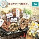 【ふるさと納税】＜お中元 ギフト＞燻製屋チャコール 簡単カナッペ燻製9種セット