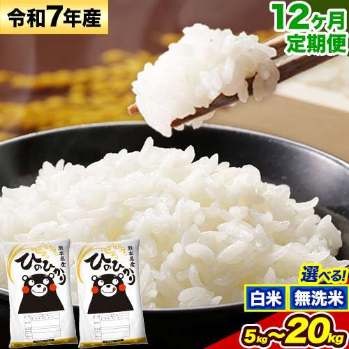【12ヶ月定期便】令和7年産 無洗米 も選べる ひのひかり 定期便あり 5kg 10kg 20kg《お申込み翌月から出荷》熊本県産 ふるさと納税 無洗米 白米 精米 ひの 米 こめ ふるさとのうぜい ヒノヒカリ コメ お米
