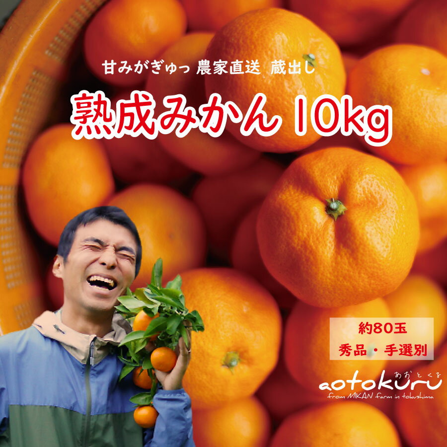 【ふるさと納税】 あおとくる 蔵出し熟成みかん 10kg 80玉前後 サイズ混合