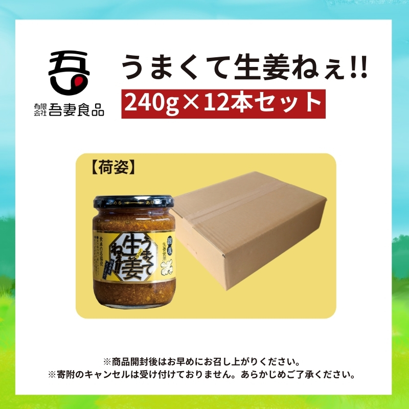 うまくて生姜ねぇ!!12本セット 【しょうが 国産 醤油漬け ごはんのお供 お弁当 調味料 おつまみ 肴 薬味 隠し味 猪苗代町 福島県】_イメージ4